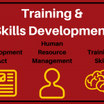 Skills Development and Training For South African Businesses
