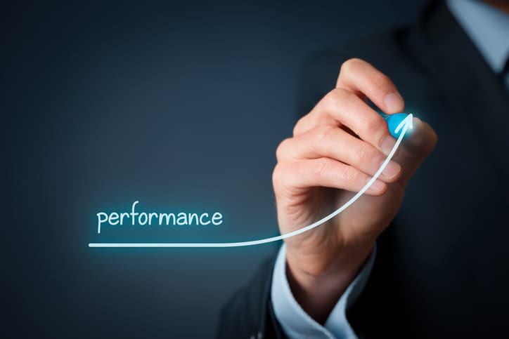 performance management - danshaw consulting