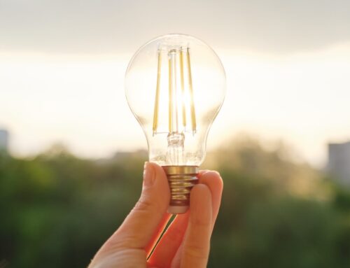 A Critical Analysis of the Eskom v Erasmus Employment Equity Appeal